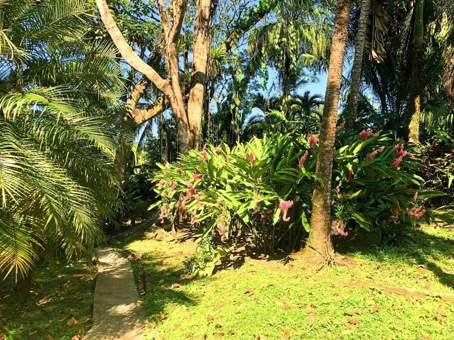 Villa Del Idaan Bocas del Toro Exterior foto