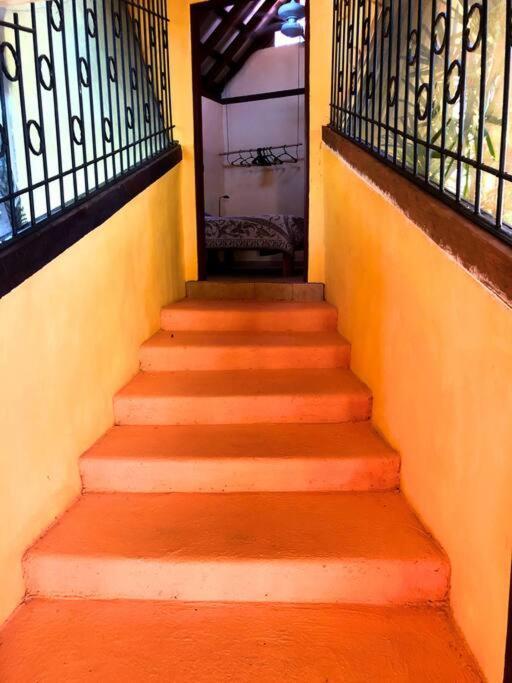 Villa Del Idaan Bocas del Toro Exterior foto
